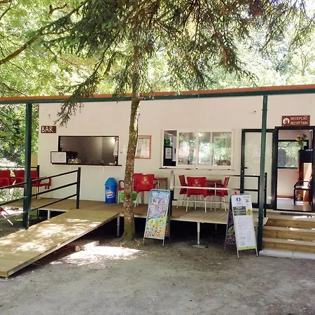 Vidoeiro Camping *