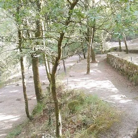 Vidoeiro Camping مكان تخييم