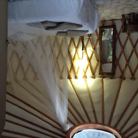 Vidoeiro Camping